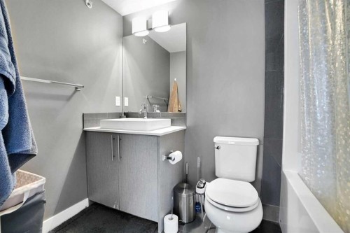 6415-302 Skyview Ranch Drive Ne, Calgary, AB - Indoor Photo Showing Bathroom