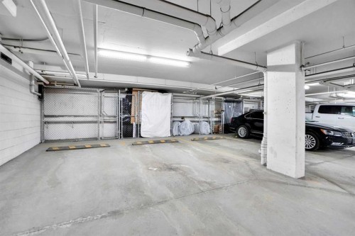 6415-302 Skyview Ranch Drive Ne, Calgary, AB - Indoor Photo Showing Garage