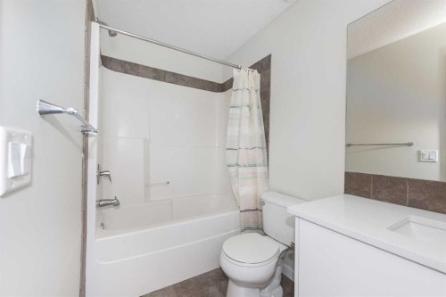 110 Skyview Ranch Boulevard Ne, Calgary, AB - Indoor Photo Showing Bathroom