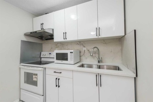 110 Skyview Ranch Boulevard Ne, Calgary, AB - Indoor Photo Showing Kitchen With Double Sink
