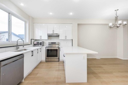 110 Skyview Ranch Boulevard Ne, Calgary, AB - Indoor Photo Showing Kitchen With Double Sink