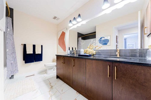 691 Buffaloberry Manor Se, Calgary, AB - Indoor Photo Showing Bathroom