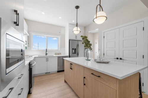 84 Buffaloberry Manor Se, Calgary, AB - Indoor Photo Showing Kitchen With Upgraded Kitchen