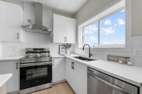 84 Buffaloberry Manor Se, Calgary, AB - Indoor Photo Showing Kitchen With Stainless Steel Kitchen With Double Sink