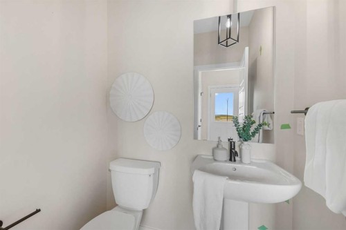 84 Buffaloberry Manor Se, Calgary, AB - Indoor Photo Showing Bathroom