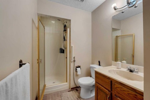 48 Castleglen Court Ne, Calgary, AB - Indoor Photo Showing Bathroom