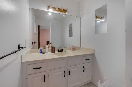 48 Castleglen Court Ne, Calgary, AB - Indoor Photo Showing Bathroom