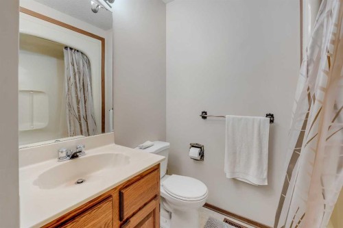 48 Castleglen Court Ne, Calgary, AB - Indoor Photo Showing Bathroom