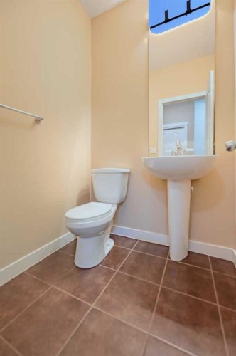 55 Skyview Shores Road Ne, Calgary, AB - Indoor Photo Showing Bathroom