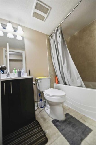 55 Skyview Shores Road Ne, Calgary, AB - Indoor Photo Showing Bathroom