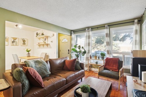 3-5315 53 Avenue Nw, Calgary, AB - Indoor Photo Showing Living Room