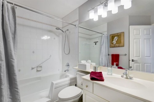 203-2144 Paliswood Road Sw, Calgary, AB - Indoor Photo Showing Bathroom