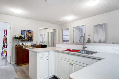 203-2144 Paliswood Road Sw, Calgary, AB - Indoor Photo Showing Kitchen With Double Sink
