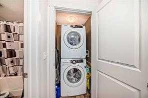 4313-155 Skyview Ranch Way Ne, Calgary, AB - Indoor Photo Showing Laundry Room