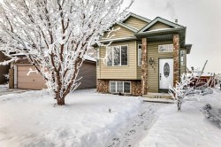 152 Saddlecreek Terrace NE Calgary, AB T3J 4A6