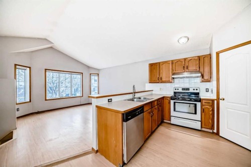 152 Saddlecreek Terrace Ne, Calgary, AB - Indoor Photo Showing Kitchen With Double Sink