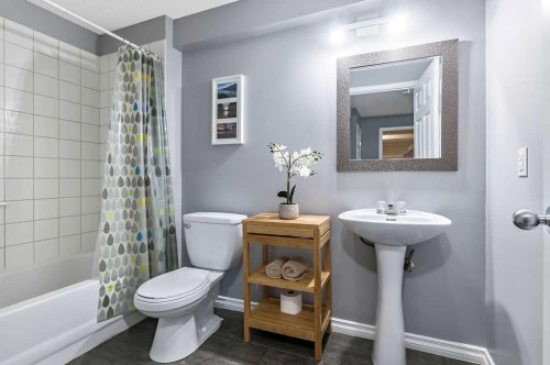 42 Royal Birch Mount Nw, Calgary, AB - Indoor Photo Showing Bathroom