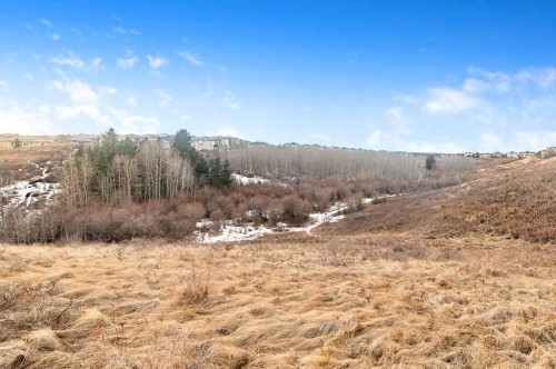 42 Royal Birch Mount Nw, Calgary, AB - Outdoor With View