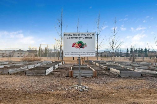 42 Royal Birch Mount Nw, Calgary, AB - Outdoor