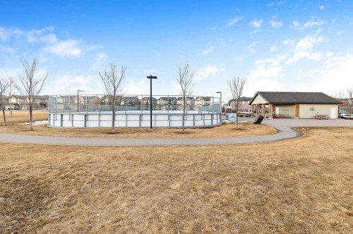 42 Royal Birch Mount Nw, Calgary, AB - Outdoor