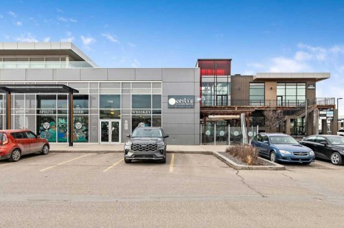 42 Royal Birch Mount Nw, Calgary, AB - Outdoor