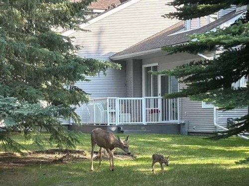 32-275 Woodridge Drive Sw, Calgary, AB - Outdoor With Deck Patio Veranda