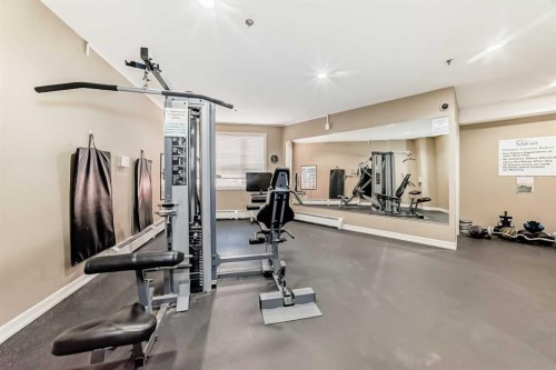 534-26 Val Gardena View Sw, Calgary, AB - Indoor Photo Showing Gym Room