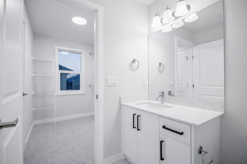 113 Corner Meadows Square Ne, Calgary, AB - Indoor Photo Showing Bathroom