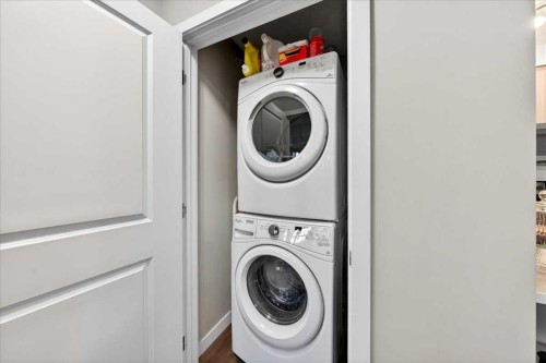 302-200 Cranfield Common Se, Calgary, AB - Indoor Photo Showing Laundry Room