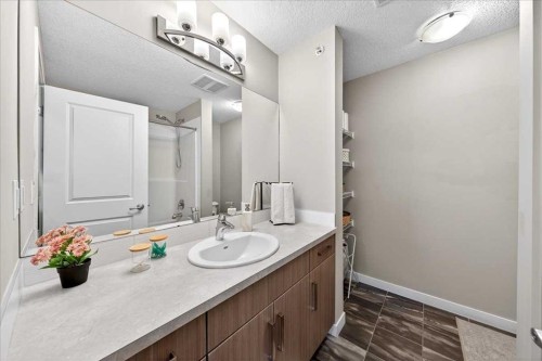 302-200 Cranfield Common Se, Calgary, AB - Indoor Photo Showing Bathroom