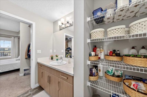 302-200 Cranfield Common Se, Calgary, AB - Indoor Photo Showing Bathroom