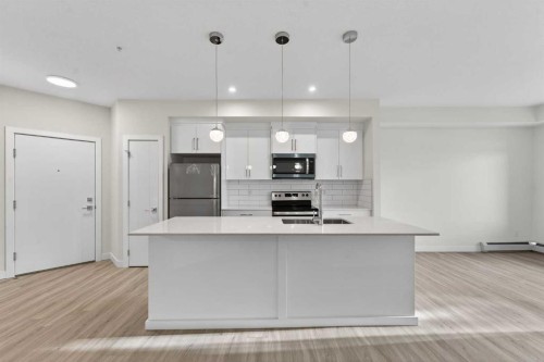 2311-15 Skyview Point Crescent Ne, Calgary, AB - Indoor Photo Showing Kitchen With Stainless Steel Kitchen With Upgraded Kitchen