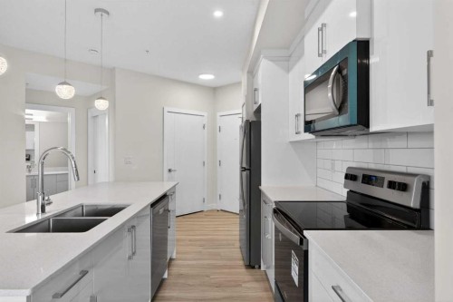 2311-15 Skyview Point Crescent Ne, Calgary, AB - Indoor Photo Showing Kitchen With Stainless Steel Kitchen With Double Sink With Upgraded Kitchen