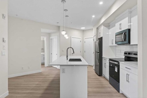 2311-15 Skyview Point Crescent Ne, Calgary, AB - Indoor Photo Showing Kitchen With Double Sink With Upgraded Kitchen