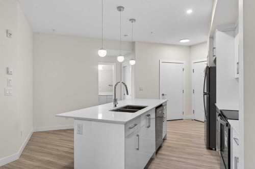 2311-15 Skyview Point Crescent Ne, Calgary, AB - Indoor Photo Showing Kitchen With Double Sink With Upgraded Kitchen