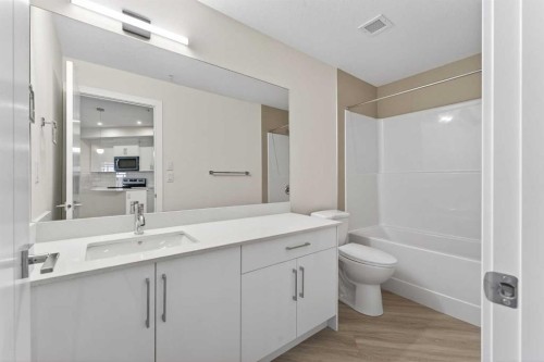 2311-15 Skyview Point Crescent Ne, Calgary, AB - Indoor Photo Showing Bathroom