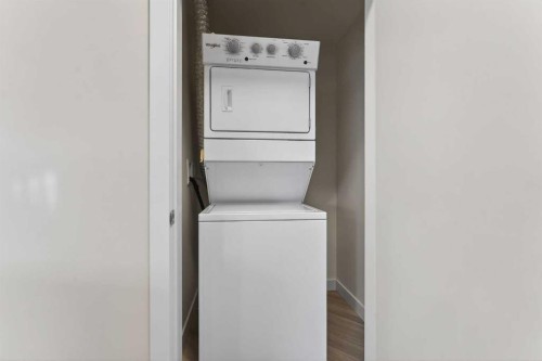 2311-15 Skyview Point Crescent Ne, Calgary, AB - Indoor Photo Showing Laundry Room