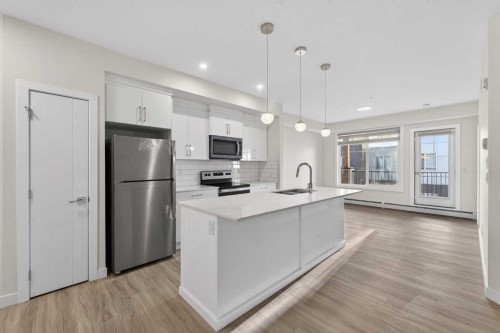 2311-15 Skyview Point Crescent Ne, Calgary, AB - Indoor Photo Showing Kitchen With Stainless Steel Kitchen With Upgraded Kitchen