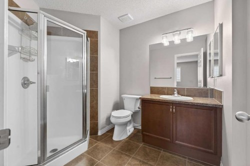 23 Taralake Lane Ne, Calgary, AB - Indoor Photo Showing Bathroom