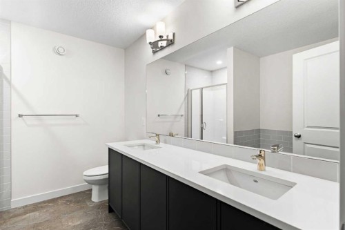 43 Belvedere Point Se, Calgary, AB - Indoor Photo Showing Bathroom