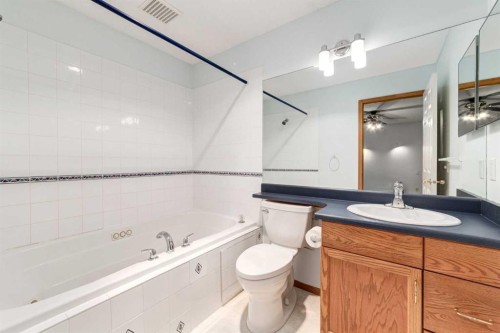 20 Willowbrook Gate Nw, Airdrie, AB - Indoor Photo Showing Bathroom