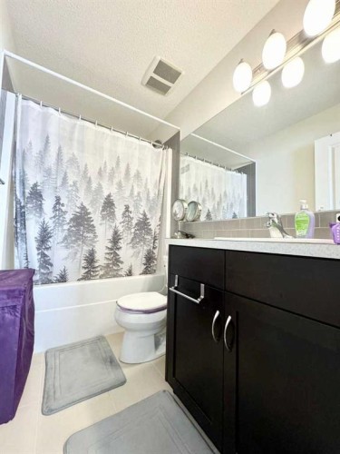 36 Evansborough Common Nw, Calgary, AB - Indoor Photo Showing Bathroom