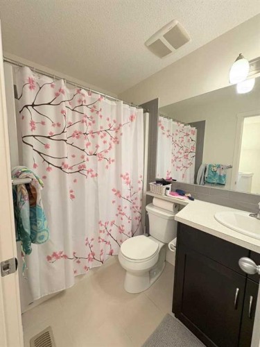 36 Evansborough Common Nw, Calgary, AB - Indoor Photo Showing Bathroom
