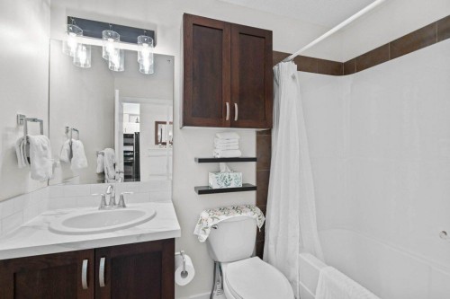 304-201 Sunset Drive, Cochrane, AB - Indoor Photo Showing Bathroom