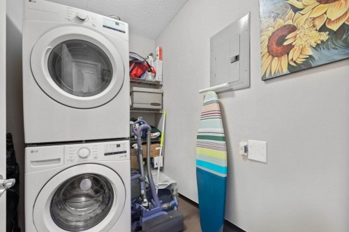 304-201 Sunset Drive, Cochrane, AB - Indoor Photo Showing Laundry Room