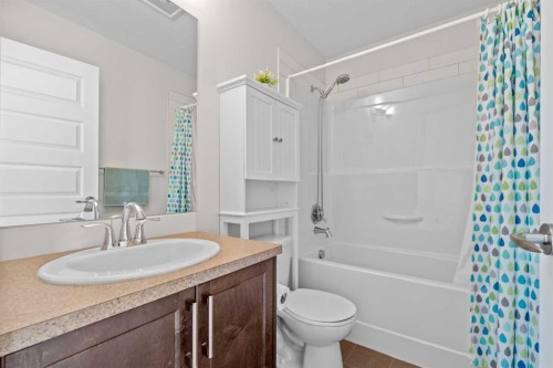 1112 Williamstown Boulevard Nw, Airdrie, AB - Indoor Photo Showing Bathroom