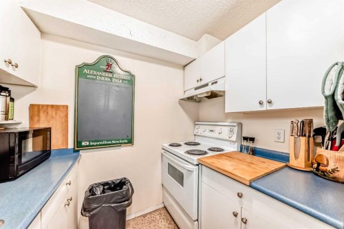 1317-6224 17 Avenue Se, Calgary, AB - Indoor Photo Showing Kitchen