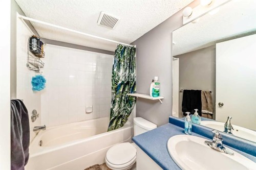 1317-6224 17 Avenue Se, Calgary, AB - Indoor Photo Showing Bathroom