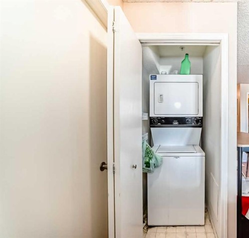 1317-6224 17 Avenue Se, Calgary, AB - Indoor Photo Showing Laundry Room