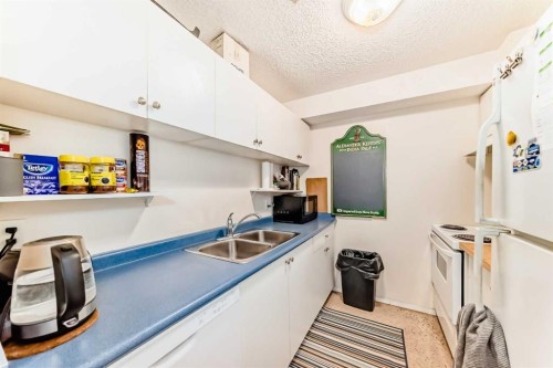 1317-6224 17 Avenue Se, Calgary, AB - Indoor Photo Showing Kitchen With Double Sink